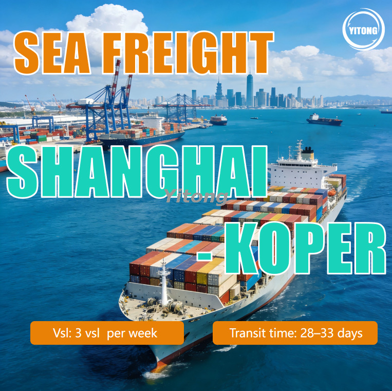 Shanghai to Koper Slovenia Sea Freight Service