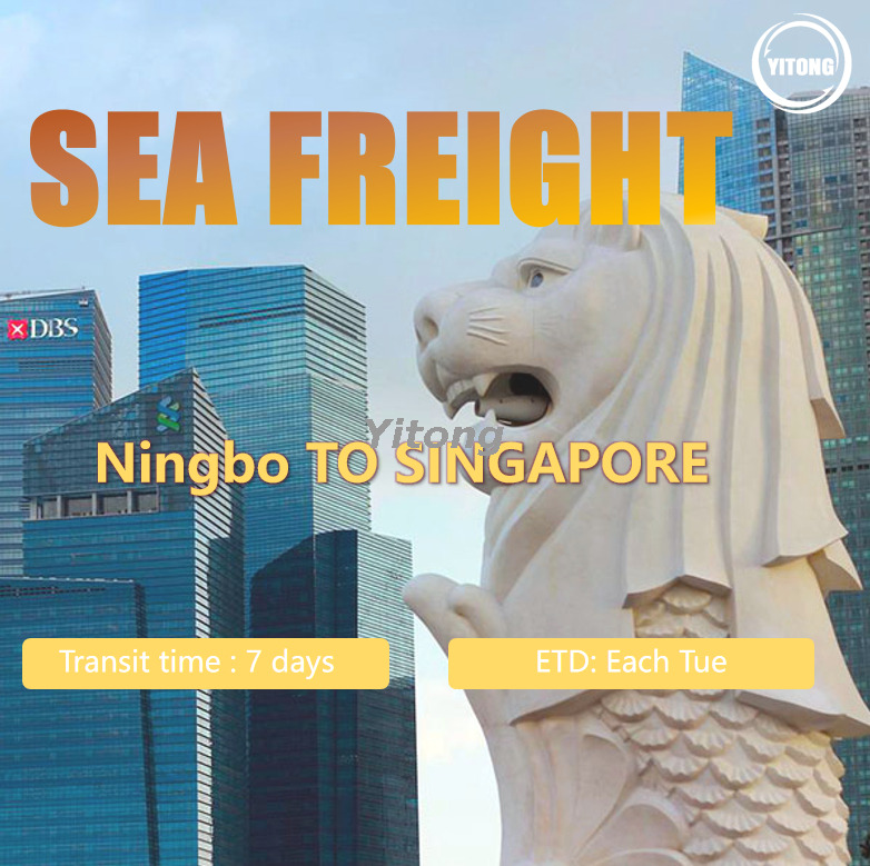 Shipping From Ningbo to Singapore