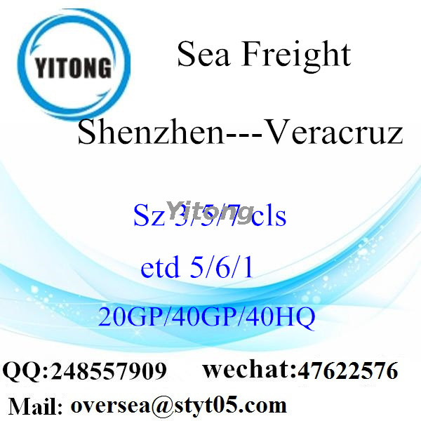 Shenzhen Port Sea Freight Shipping To Veracruz Mexico
