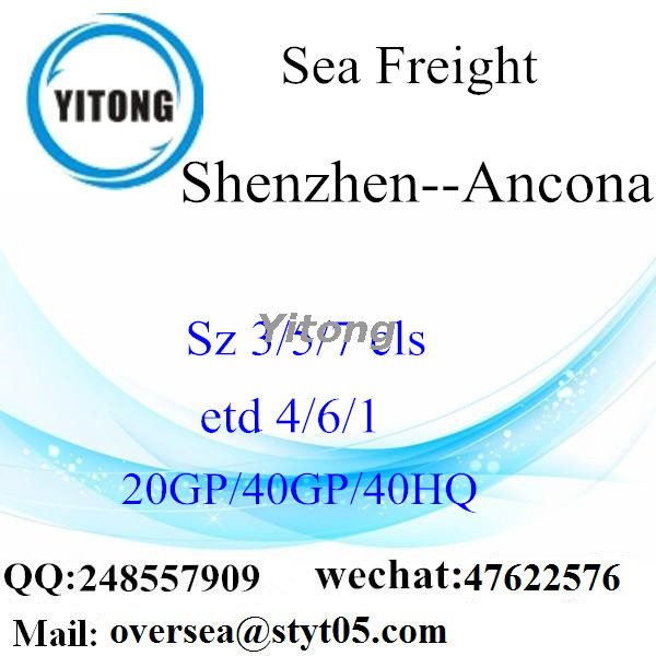 Shenzhen Port Sea Freight Shipping To Ancona Italy
