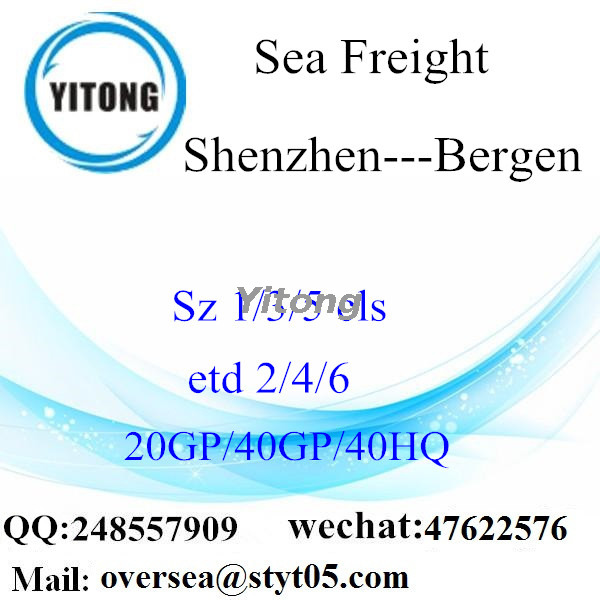 Shenzhen Port Sea Freight Shipping To Bergen Norway