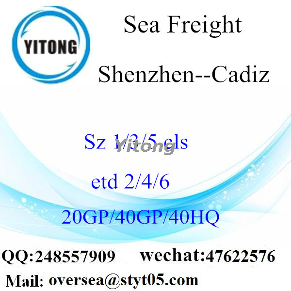 Shenzhen Port Sea Freight Shipping To Cadiz Spain
