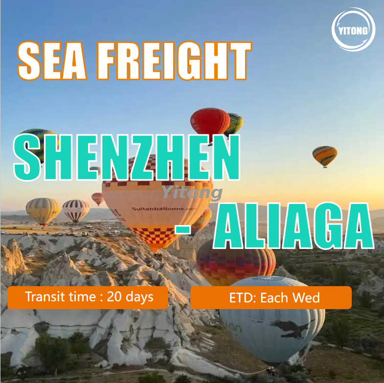 Shenzhen Sea Freight Shipping Company To Aliaga Turkey