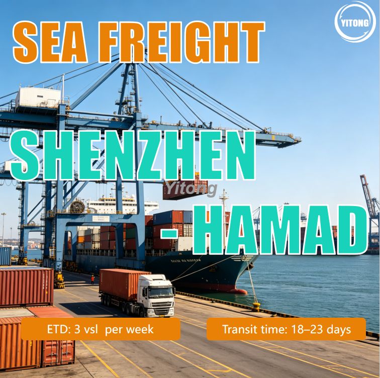 Ocean Shipping From Shenzhen China To Hamad, Qatar