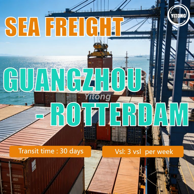 Reliable Sea Freight From Guangzhou China To Rotterdam Netherlands Gateway To European Logistics