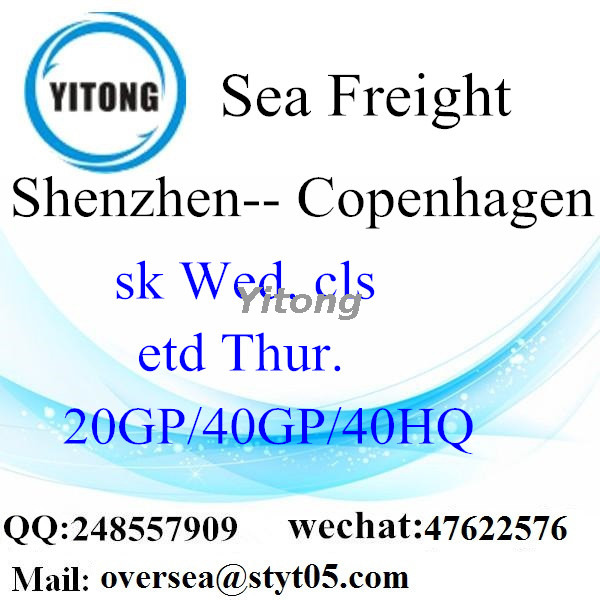 Shenzhen Port Sea Freight Shipping To Copenhagen Denmark