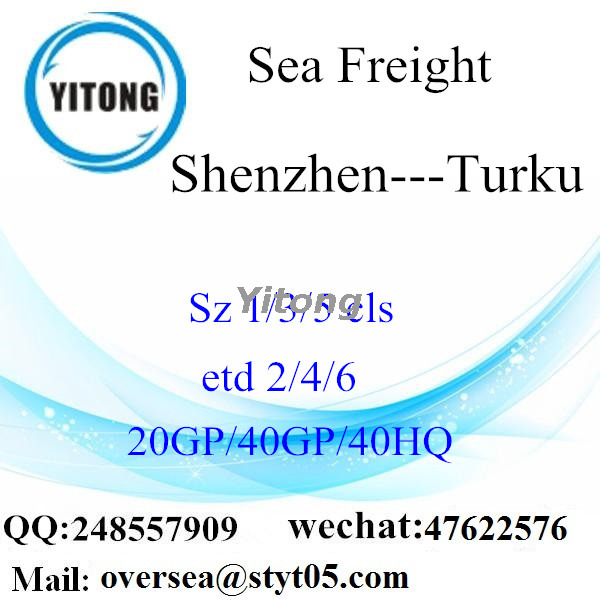 Shenzhen Port Sea Freight Shipping To Turku Finland