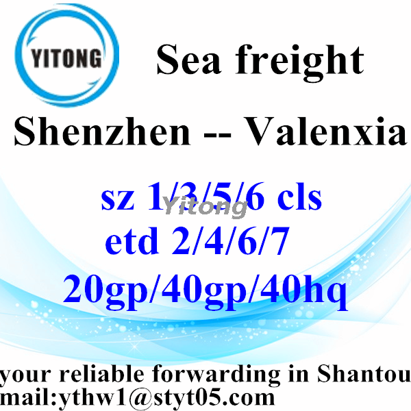 Shenzhen Professional Shipping Forwarder Agent to Valenxia Spain